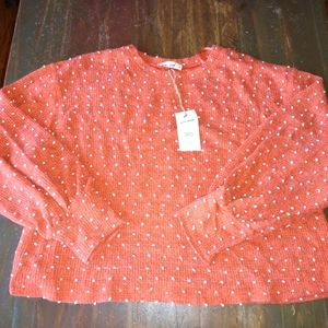 New In Crewneck Sweater